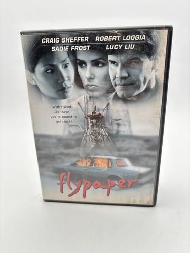 Flypaper dvd 1999 - dvd,