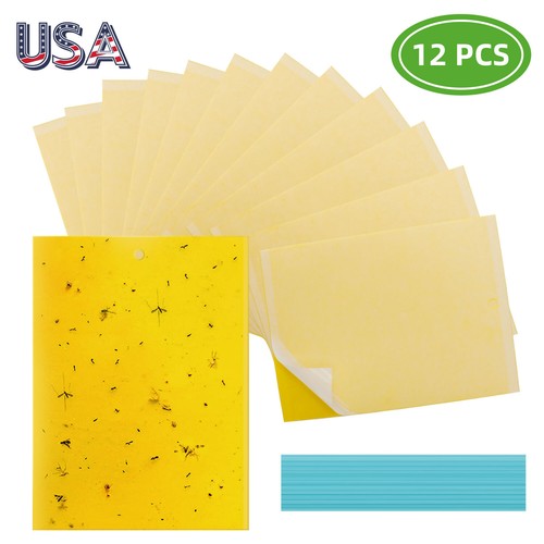 Sticky fly glue - fly, trap