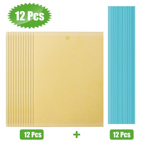 Sticky fly glue trap yellow - glue,